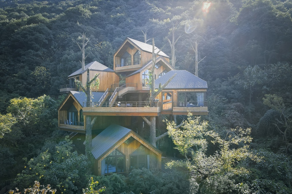樹屋 樹屋