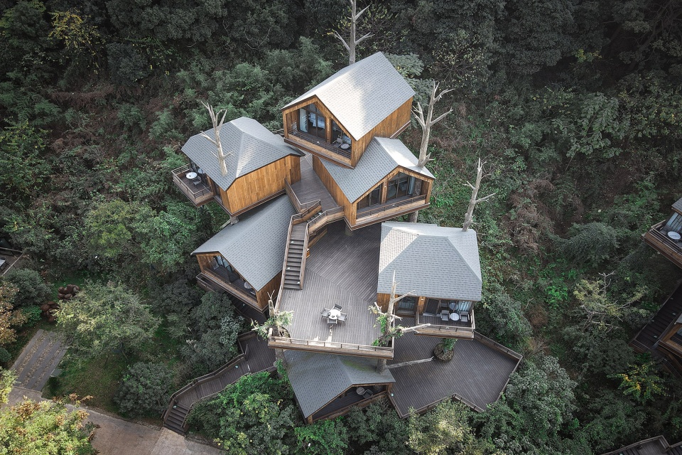 樹屋單體鳥瞰 樹屋單體鳥瞰