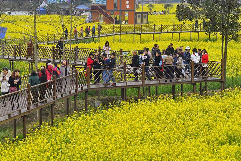 鄉村旅游 鄉村旅游